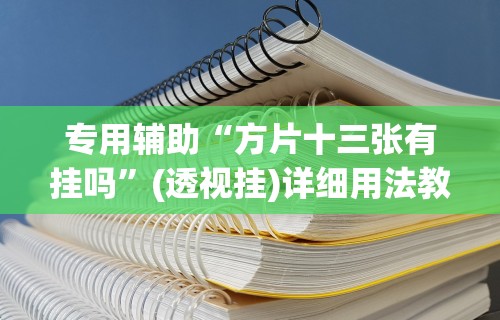 专用辅助“方片十三张有挂吗”(透视挂)详细用法教程