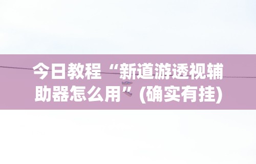 今日教程“新道游透视辅助器怎么用”(确实有挂)