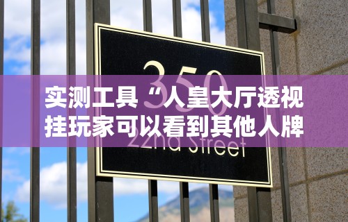 实测工具“人皇大厅透视挂玩家可以看到其他人牌吗”开挂辅助脚本+详细开挂