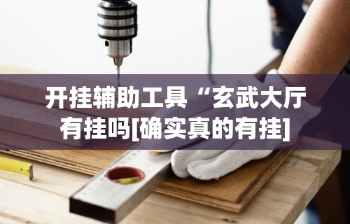 开挂辅助工具“玄武大厅有挂吗[确实真的有挂]