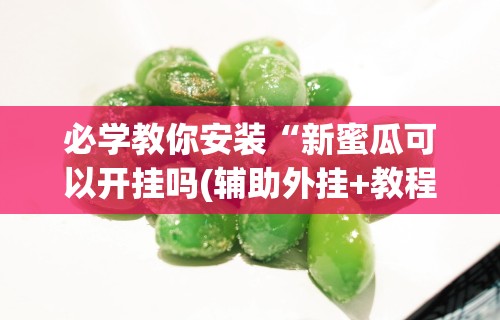 必学教你安装“新蜜瓜可以开挂吗(辅助外挂+教程)