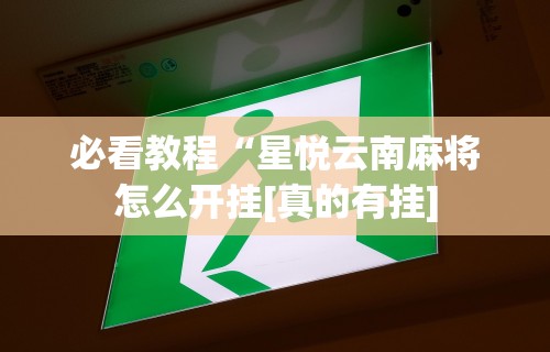玩家必看教程“微信小程序天天斗地主挂下载”(原来确实是有插件)
