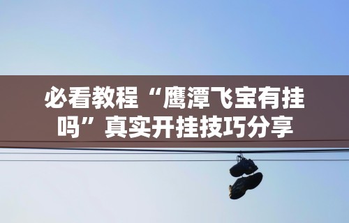 必看教程“鹰潭飞宝有挂吗”真实开挂技巧分享