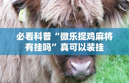 揭秘“福建十三张有挂吗”其实确实有挂