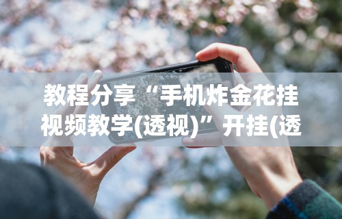 教程分享“手机炸金花挂视频教学(透视)”开挂(透视)辅助教程