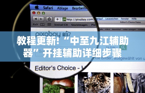 教程更新!“中至九江辅助器”开挂辅助详细步骤