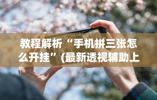 教程解析“手机拼三张怎么开挂”(最新透视辅助上线)