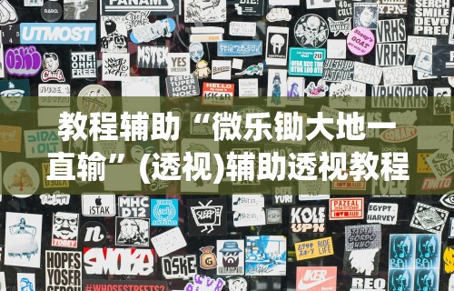 教程辅助“微乐锄大地一直输”(透视)辅助透视教程