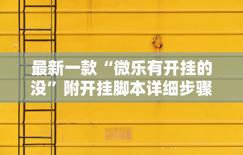 最新一款“微乐有开挂的没”附开挂脚本详细步骤