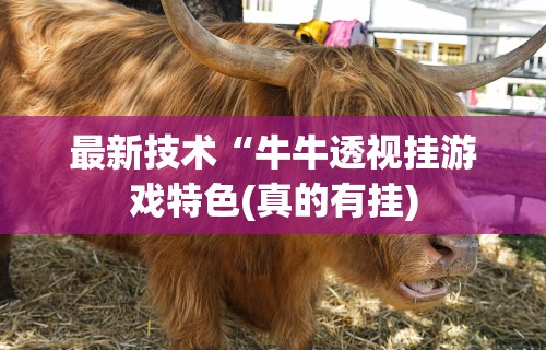 最新技术“牛牛透视挂游戏特色(真的有挂)