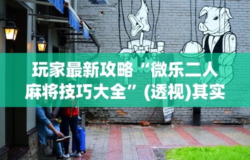 玩家最新攻略“微乐二人麻将技巧大全”(透视)其实真的有挂