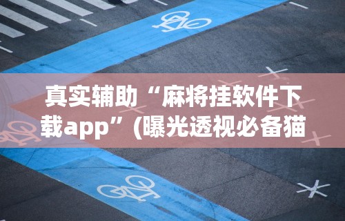 真实辅助“麻将挂软件下载app”(曝光透视必备猫腻)