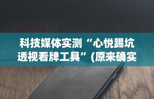 科技媒体实测“心悦踢坑透视看牌工具”(原来确实是有插件)