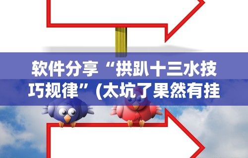 软件分享“拱趴十三水技巧规律”(太坑了果然有挂)