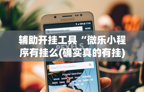 辅助开挂工具“微乐小程序有挂么(确实真的有挂)