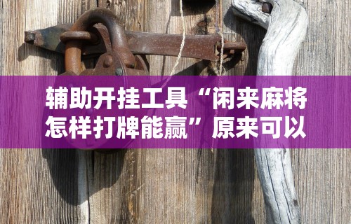 辅助开挂工具“闲来麻将怎样打牌能赢”原来可以开挂