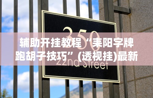 辅助开挂教程“耒阳字牌跑胡子技巧”(透视挂)最新辅助详细教程
