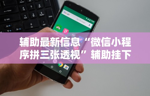 辅助最新信息“微信小程序拼三张透视”辅助挂下载