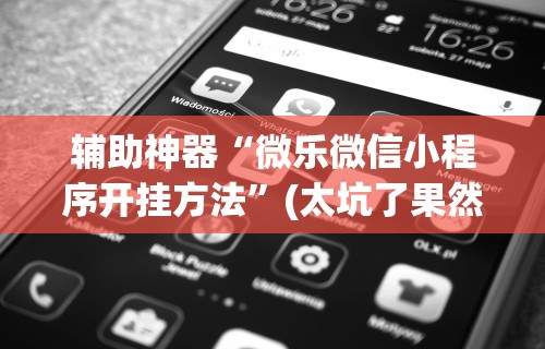 辅助神器“微乐微信小程序开挂方法”(太坑了果然有挂)