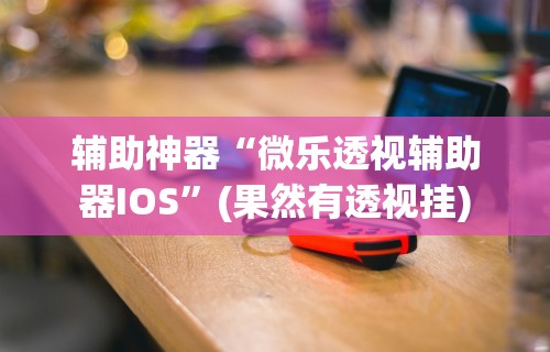 辅助神器“微乐透视辅助器IOS	”(果然有透视挂)