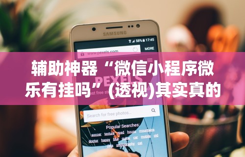 辅助神器“微信小程序微乐有挂吗”(透视)其实真的有挂