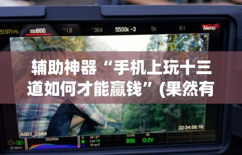 辅助神器“手机上玩十三道如何才能赢钱”(果然有透视挂)