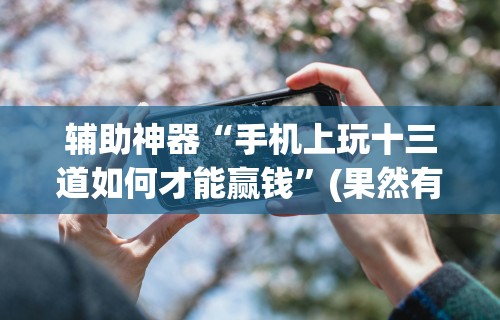 辅助神器“手机上玩十三道如何才能赢钱”(果然有透视挂)