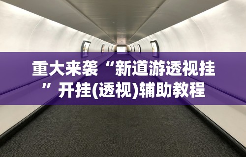 重大来袭“新道游透视挂”开挂(透视)辅助教程