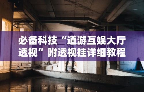 必备科技“道游互娱大厅透视”附透视挂详细教程