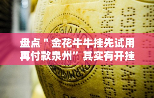 盘点＂金花牛牛挂先试用再付款泉州”其实有开挂插件!