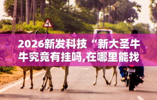 2026新发科技“新大圣牛牛究竟有挂吗,在哪里能找到”其实确实有挂