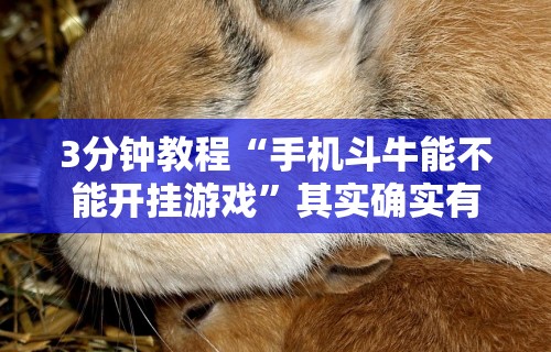 3分钟教程“手机斗牛能不能开挂游戏”其实确实有挂