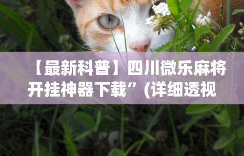 【最新科普】四川微乐麻将开挂神器下载	”(详细透视教程)-知乎