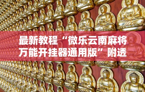 最新教程“微乐云南麻将万能开挂器通用版”附透视挂详细教程