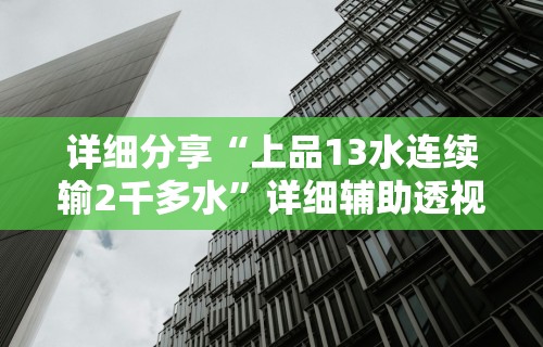 详细分享“上品13水连续输2千多水”详细辅助透视