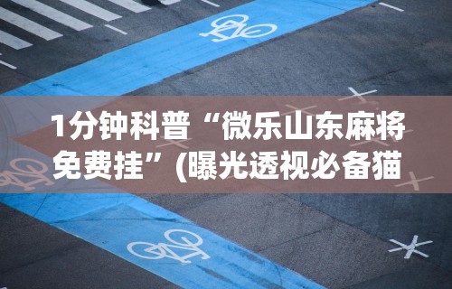 1分钟科普“微乐山东麻将免费挂”(曝光透视必备猫腻)