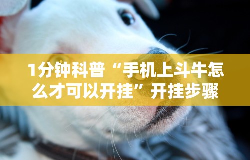 1分钟科普“手机上斗牛怎么才可以开挂	”开挂步骤方法