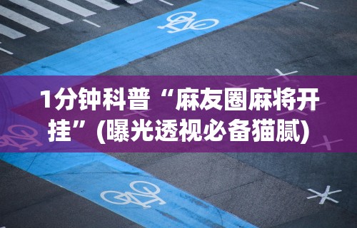 1分钟科普“麻友圈麻将开挂	”(曝光透视必备猫腻)