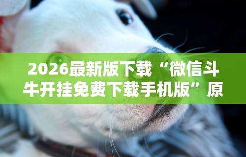 2026最新版下载“微信斗牛开挂免费下载手机版”原来可以开挂