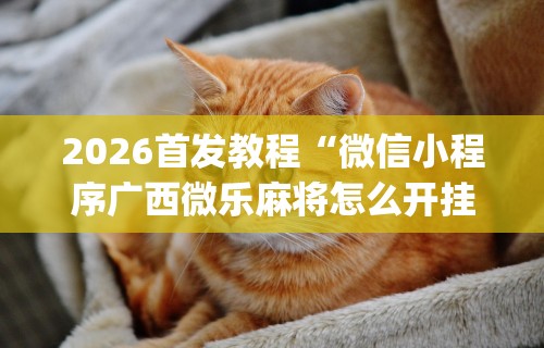 2026首发教程“微信小程序广西微乐麻将怎么开挂”(透视曝光猫腻)