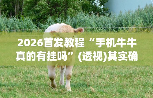 2026首发教程“手机牛牛真的有挂吗”(透视)其实确实有挂