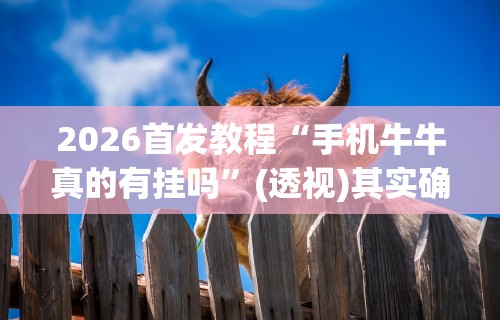 2026首发教程“手机牛牛真的有挂吗	”(透视)其实确实有挂