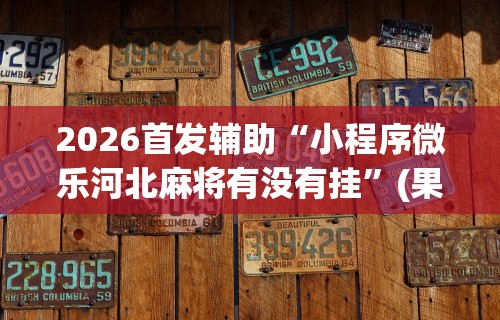 2026首发辅助“小程序微乐河北麻将有没有挂”(果然有透视挂)