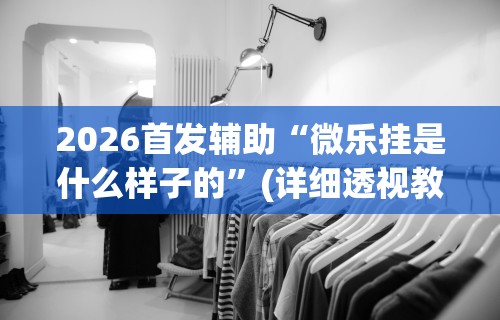 2026首发辅助“微乐挂是什么样子的”(详细透视教程)