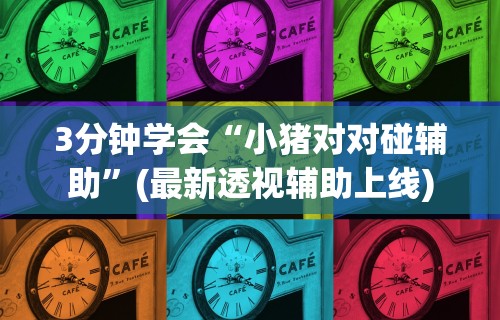 3分钟学会“小猪对对碰辅助”(最新透视辅助上线)