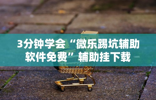 3分钟学会“微乐踢坑辅助软件免费”辅助挂下载