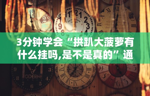 3分钟学会“拱趴大菠萝有什么挂吗,是不是真的”通用版下载教程！