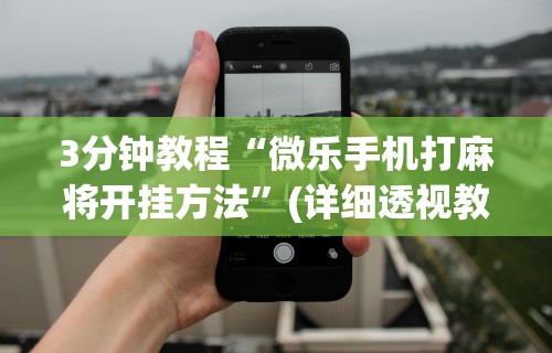 3分钟教程“微乐手机打麻将开挂方法	”(详细透视教程)