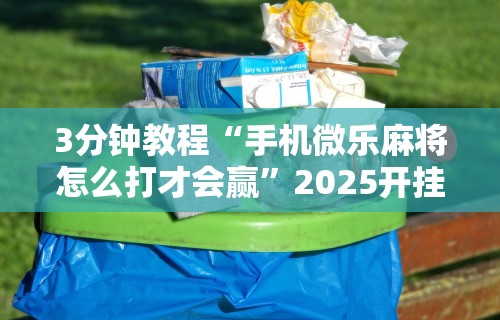 3分钟教程“手机微乐麻将怎么打才会赢”2025开挂教程步骤