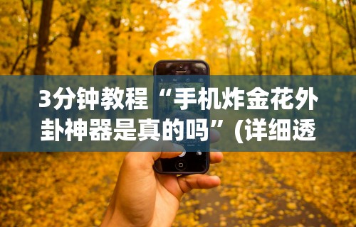 3分钟教程“手机炸金花外卦神器是真的吗”(详细透视教程)